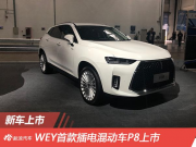 WEY׿ʽ(dng)܇P8 29.28f(wn)
