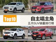 自主唱主角 五月SUV銷量Top10排行榜