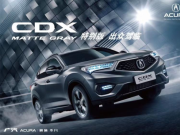 VAcura CDX MATTE GRAY؄e㶨ƌٺA(bio)